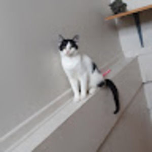 Meet your Posher, It's